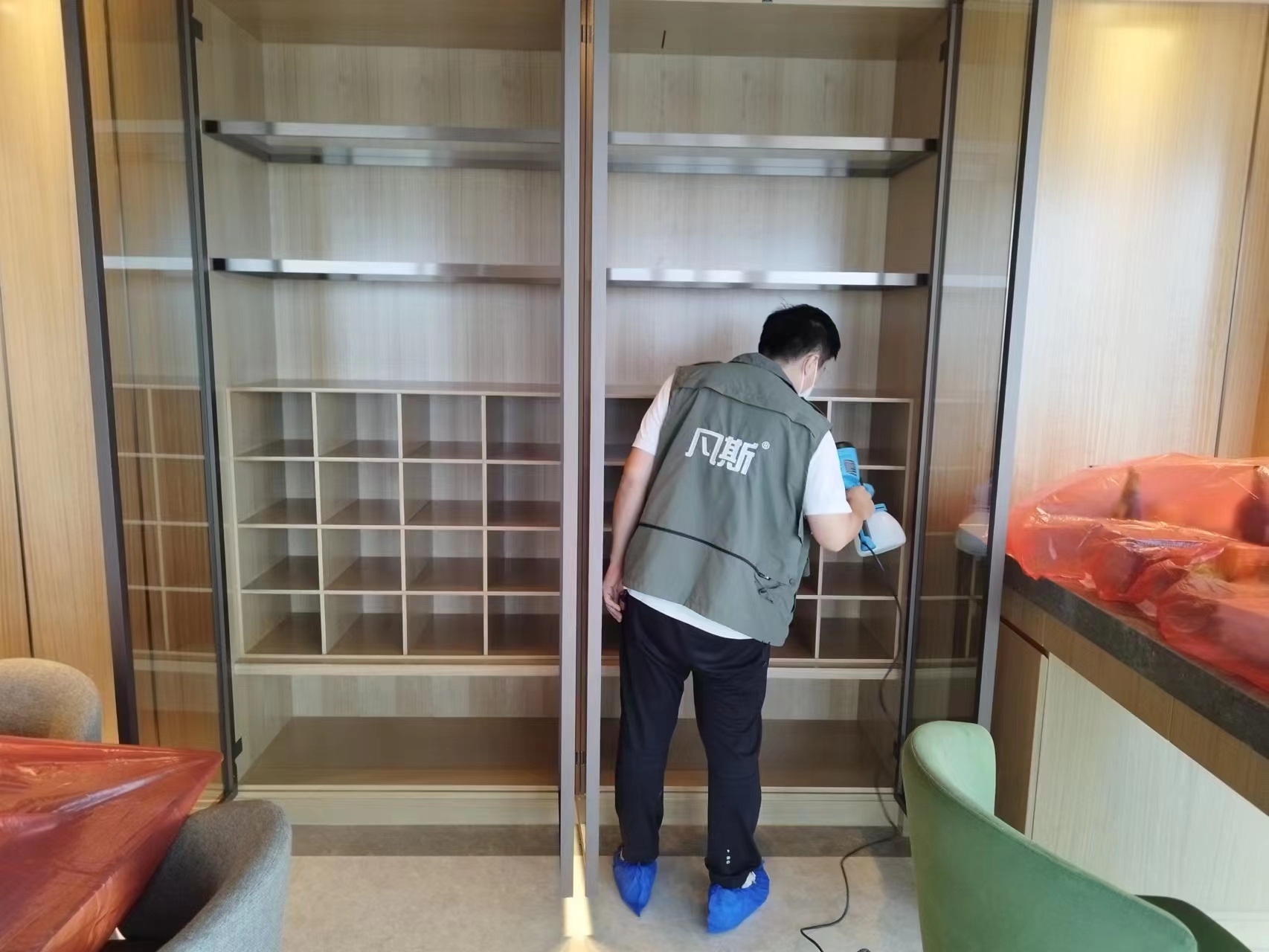 家里綠植的選購(gòu)技巧，凈化室內(nèi)空氣